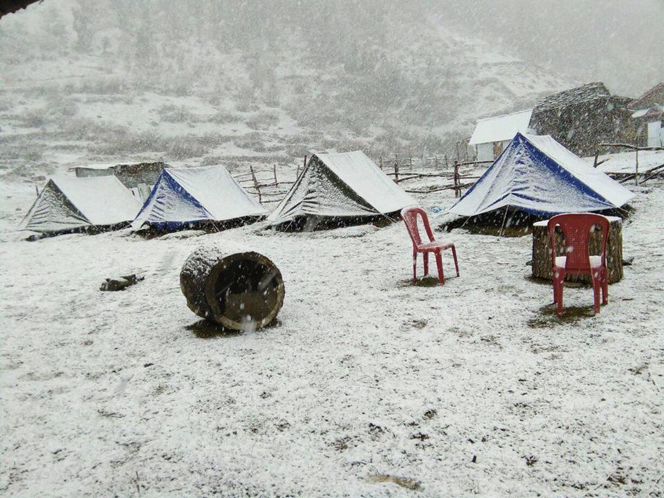 Malana Magic Valley Trek Hotel Kültér fotó